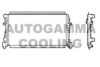 AUTOGAMMA 107245 Radiator, engine cooling